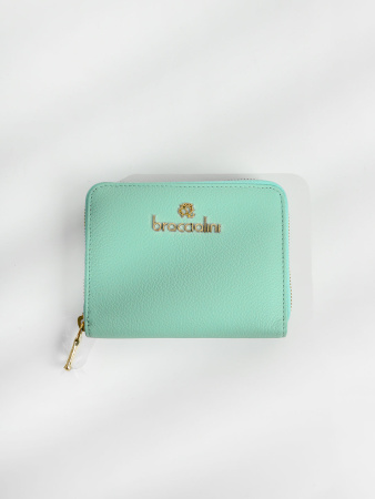 Кошелек Braccialini Basic B17191-BA 204 pelle celeste