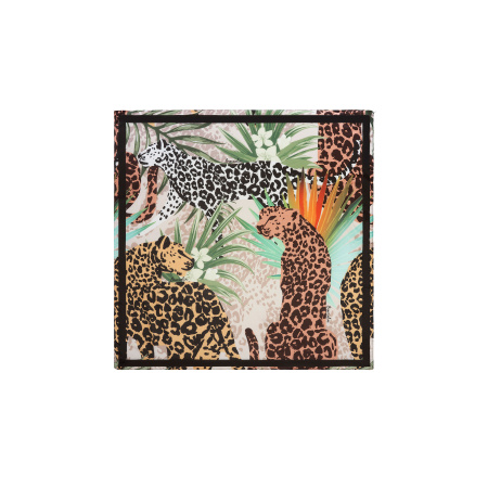 Платок Braccialini Foulard BFR330-XX 818 tessuto unico