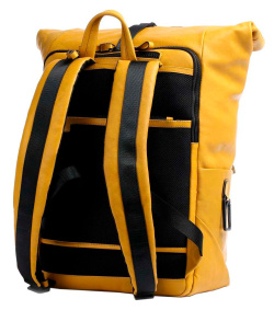 Рюкзак Piquadro Harper CA5677AP/G