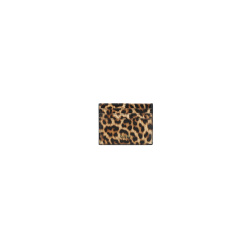 Картхолдер Braccialini Basic B19155-BA P42 pelle leopard