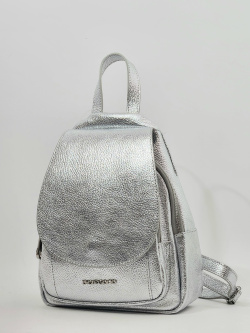 Рюкзак Di Gregorio gr8886 laminato argento